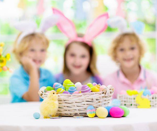 Sports School Wall Climbing