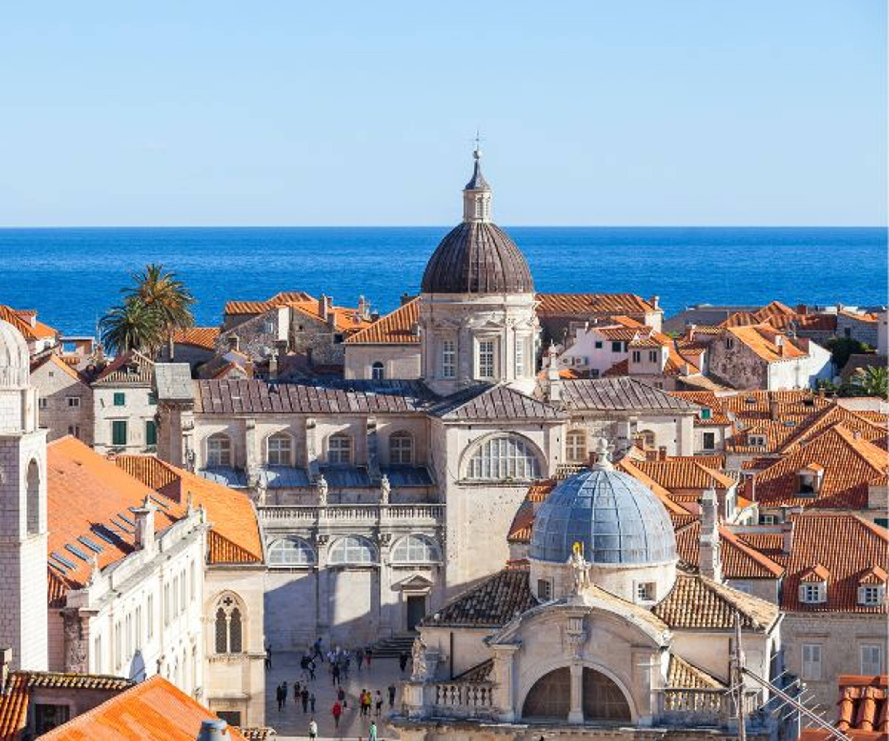 Guided tour Dec 2025